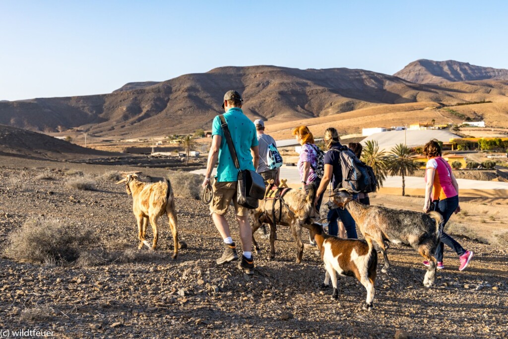 RE_Spain_Hiking with Goats